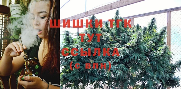 спиды Абаза