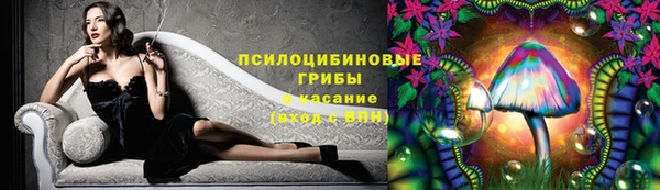 спиды Абаза