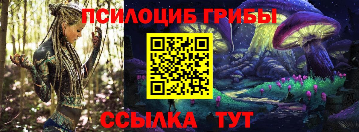 Псилоцибиновые грибы Psilocybine cubensis  Вход с VPN  Орск 