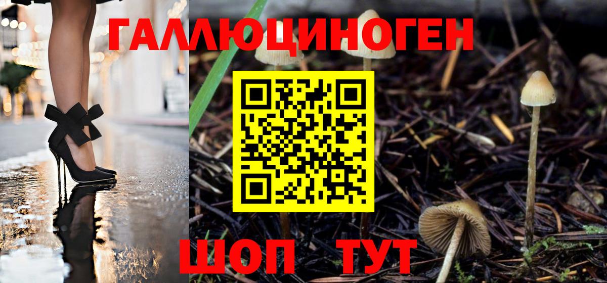 Псилоцибиновые грибы MAGIC MUSHROOMS Орск